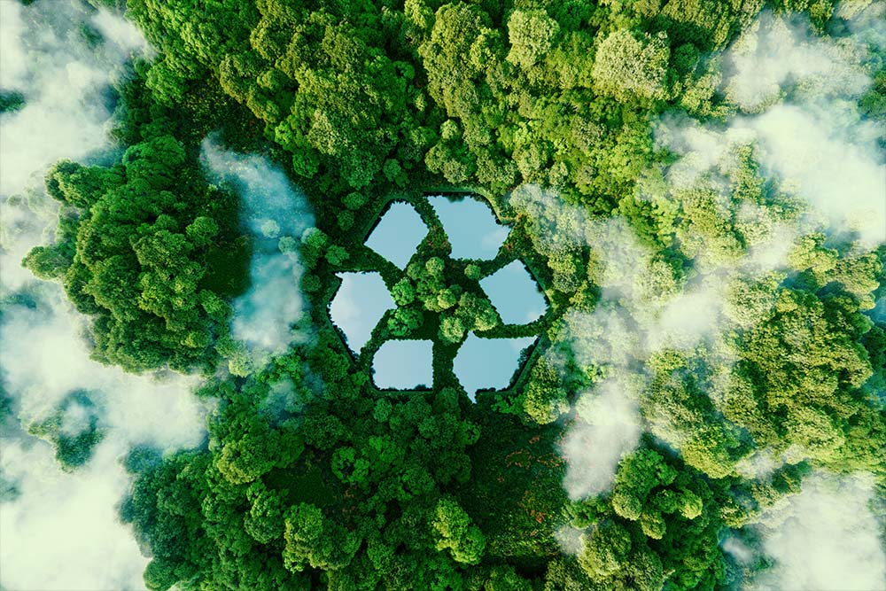 Wald Recycling